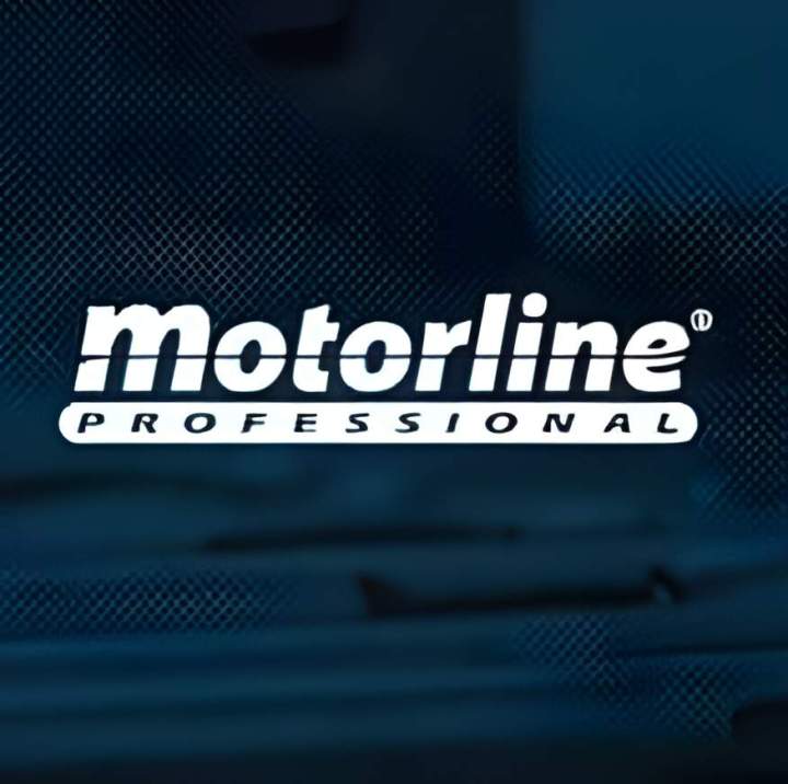 Logo Motorline Professional